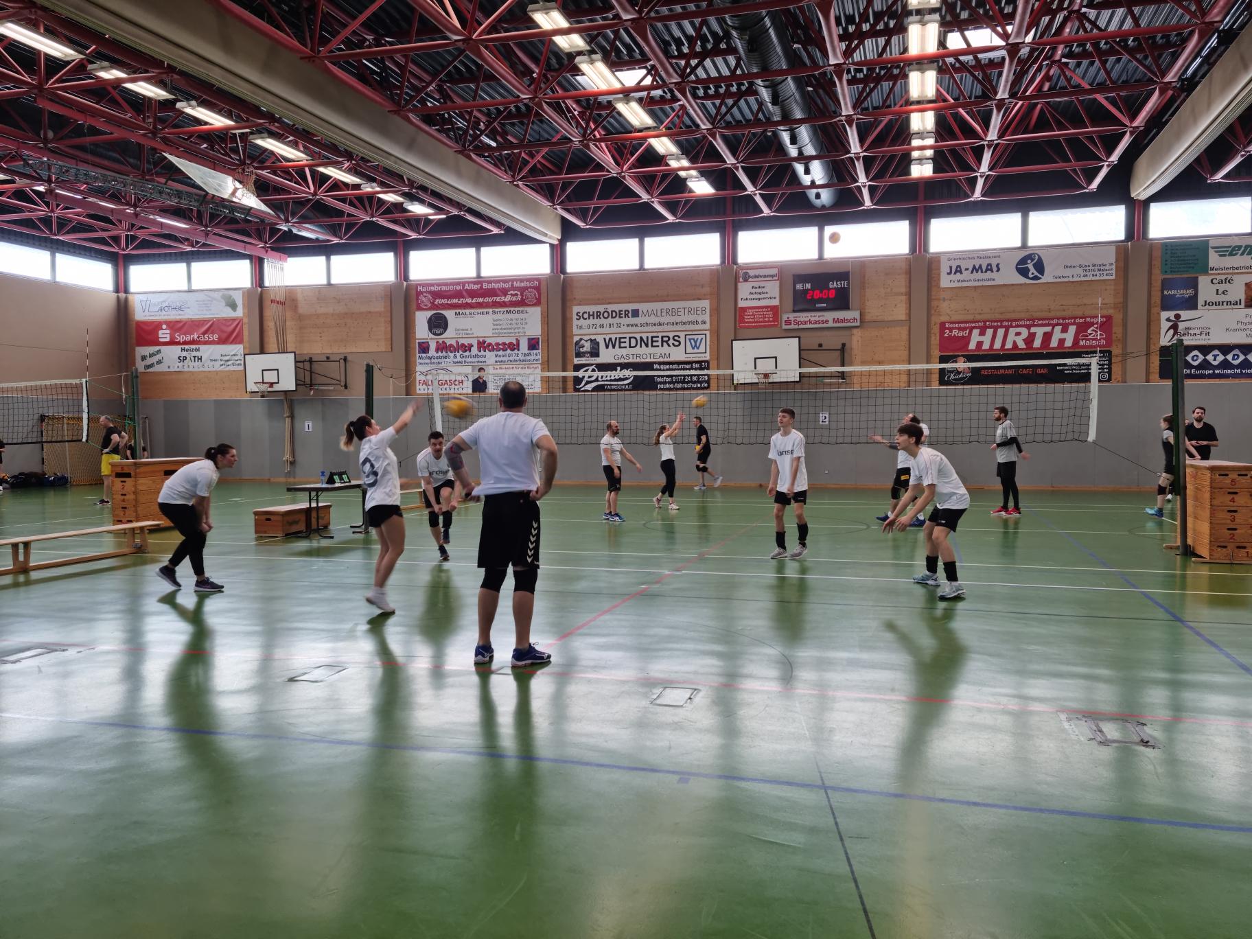 Volleyballturnier des TV Malsch